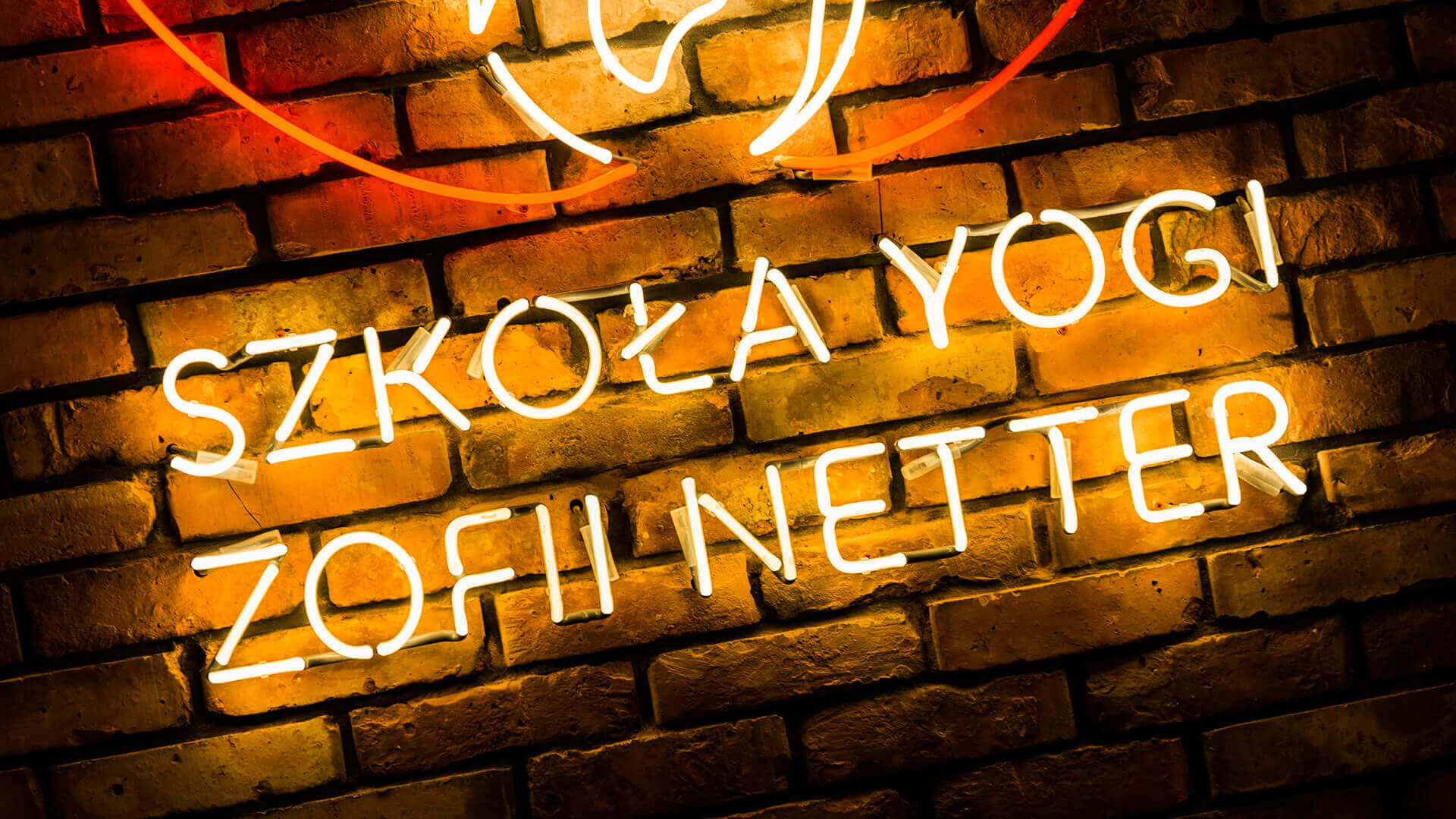 Zofia Netter Yoga School of Yoga  - szkola-yogi-zofii-netter-neon-colour-neon-light-on-the-wall-with-cegly-attached-to-the-wall-neon-in-office-letter-neon-logo-firm-neon-on-order-gdansk-przymorze (5)